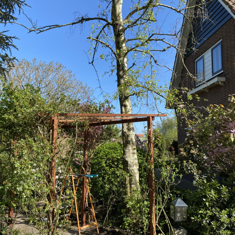 Schutting tuinafscheiding houtwerk